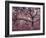 Gardiners Island-Alfred Eisenstaedt-Framed Photographic Print