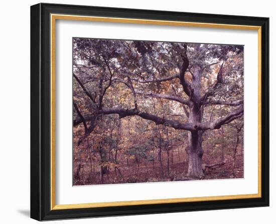 Gardiners Island-Alfred Eisenstaedt-Framed Photographic Print