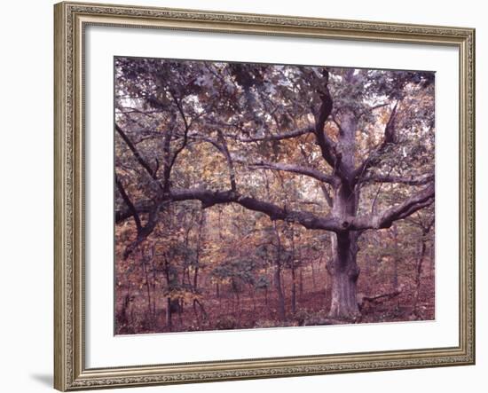 Gardiners Island-Alfred Eisenstaedt-Framed Photographic Print