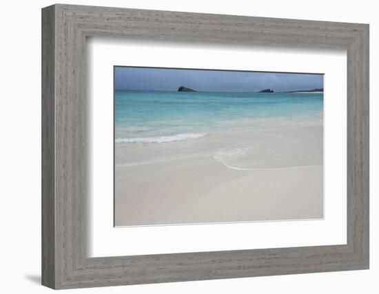 Gardner Bay, Espanola Island, Galapagos Islands, Ecuador-Pete Oxford-Framed Photographic Print