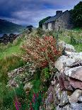 Coastal Rock Outcrops at Dun Balair, Tory Island, Ireland-Gareth McCormack-Framed Photographic Print