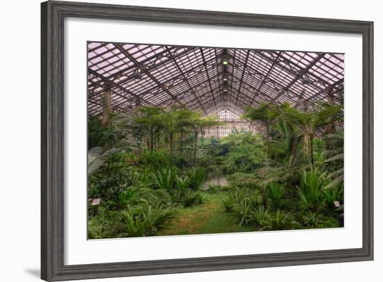 Garfield Park Conservatory Main Pond-Steve Gadomski-Framed Photographic Print