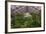 Garfield Park Conservatory Main Pond-Steve Gadomski-Framed Photographic Print