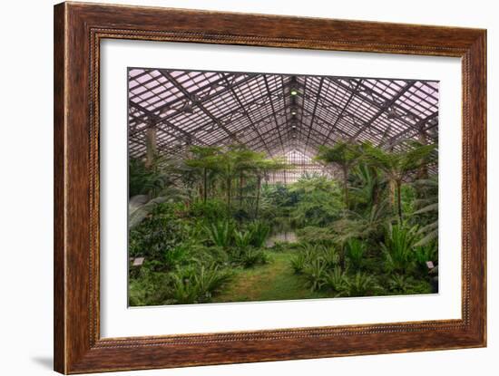 Garfield Park Conservatory Main Pond-Steve Gadomski-Framed Photographic Print