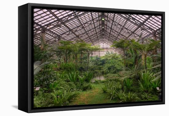 Garfield Park Conservatory Main Pond-Steve Gadomski-Framed Premier Image Canvas