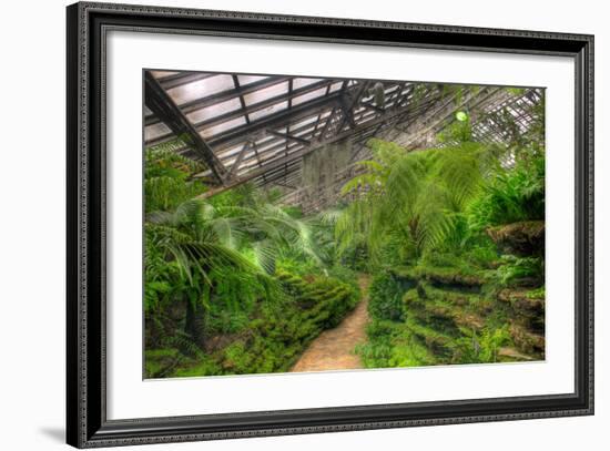 Garfield Park Conservatory Path Chicago-Steve Gadomski-Framed Photographic Print