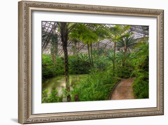 Garfield Park Conservatory Pond And Path Chicago-Steve Gadomski-Framed Photographic Print