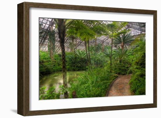 Garfield Park Conservatory Pond And Path Chicago-Steve Gadomski-Framed Photographic Print