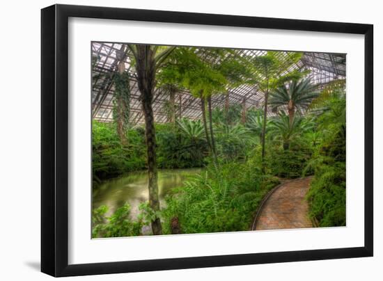 Garfield Park Conservatory Pond And Path Chicago-Steve Gadomski-Framed Photographic Print