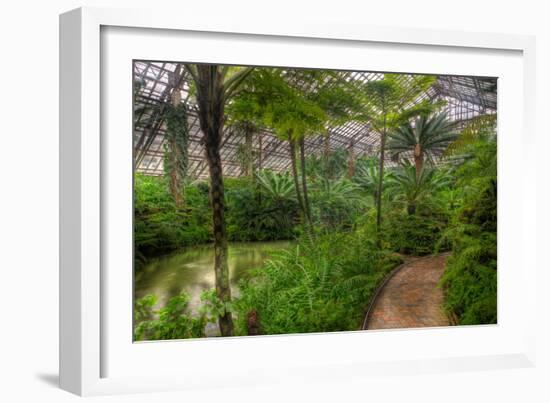 Garfield Park Conservatory Pond And Path Chicago-Steve Gadomski-Framed Photographic Print