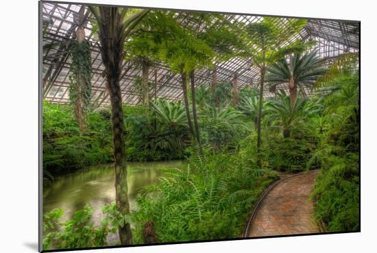 Garfield Park Conservatory Pond And Path Chicago-Steve Gadomski-Mounted Photographic Print