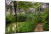 Garfield Park Conservatory Pond And Path Chicago-Steve Gadomski-Mounted Photographic Print