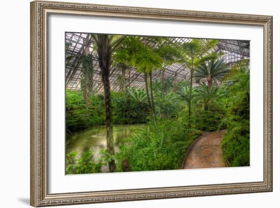 Garfield Park Conservatory Pond And Path Chicago-Steve Gadomski-Framed Photographic Print