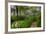 Garfield Park Conservatory Pond And Path Chicago-Steve Gadomski-Framed Photographic Print