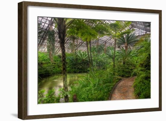 Garfield Park Conservatory Pond And Path Chicago-Steve Gadomski-Framed Photographic Print