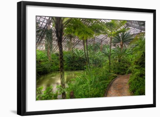 Garfield Park Conservatory Pond And Path Chicago-Steve Gadomski-Framed Photographic Print