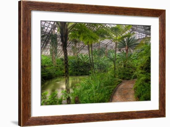 Garfield Park Conservatory Pond And Path Chicago-Steve Gadomski-Framed Photographic Print