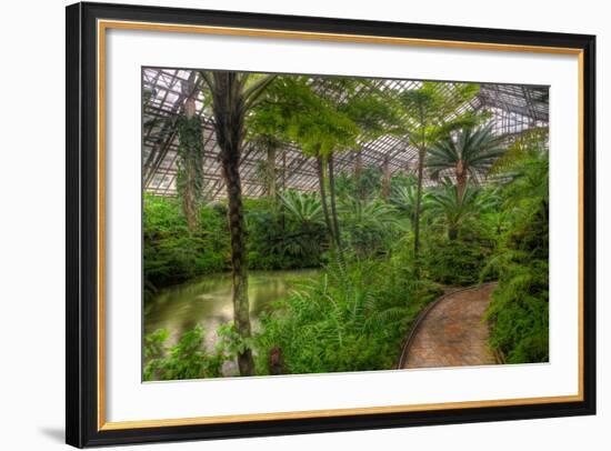 Garfield Park Conservatory Pond And Path Chicago-Steve Gadomski-Framed Photographic Print