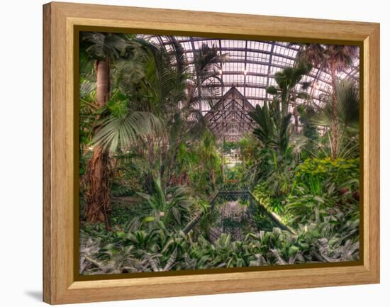 Garfield Park Conservatory Reflecting Pool-Steve Gadomski-Framed Premier Image Canvas