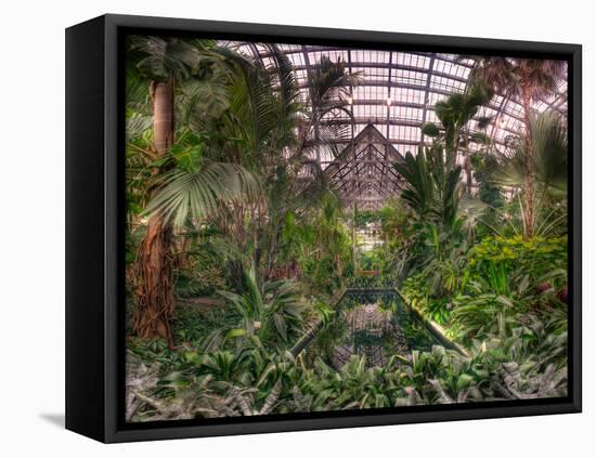 Garfield Park Conservatory Reflecting Pool-Steve Gadomski-Framed Premier Image Canvas