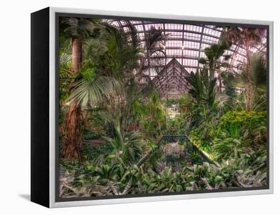 Garfield Park Conservatory Reflecting Pool-Steve Gadomski-Framed Premier Image Canvas