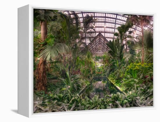 Garfield Park Conservatory Reflecting Pool-Steve Gadomski-Framed Premier Image Canvas