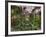 Garfield Park Conservatory Reflecting Pool-Steve Gadomski-Framed Photographic Print