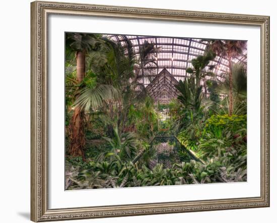 Garfield Park Conservatory Reflecting Pool-Steve Gadomski-Framed Photographic Print