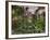 Garfield Park Conservatory Reflecting Pool-Steve Gadomski-Framed Photographic Print