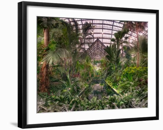 Garfield Park Conservatory Reflecting Pool-Steve Gadomski-Framed Photographic Print