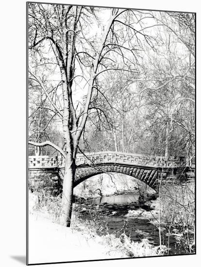 Garfield Park, Indianapolis City Park, Indiana, Usa-Anna Miller-Mounted Photographic Print