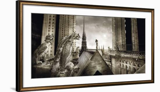 Gargouilles de Notre Dame, Paris-Stephane Rey-Gorrez-Framed Art Print