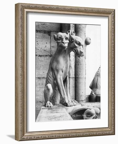 Gargoyle of Cerebus at Notre Dame-null-Framed Photographic Print