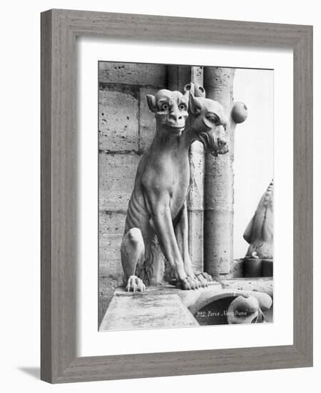 Gargoyle of Cerebus at Notre Dame-null-Framed Photographic Print