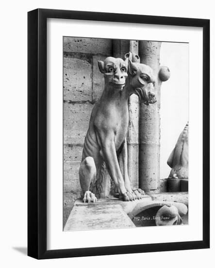 Gargoyle of Cerebus at Notre Dame-null-Framed Photographic Print