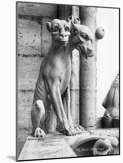 Gargoyle of Cerebus at Notre Dame-null-Mounted Photographic Print