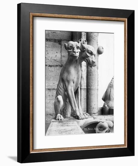 Gargoyle of Cerebus at Notre Dame-null-Framed Photographic Print