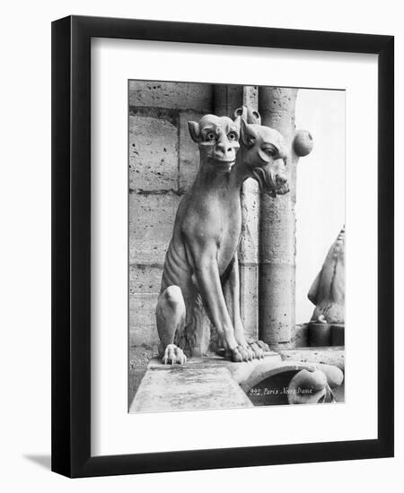 Gargoyle of Cerebus at Notre Dame-null-Framed Photographic Print