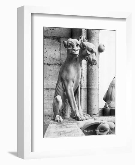 Gargoyle of Cerebus at Notre Dame-null-Framed Photographic Print