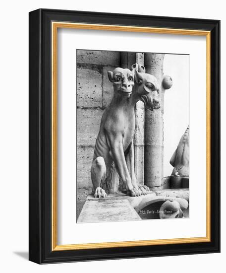 Gargoyle of Cerebus at Notre Dame-null-Framed Photographic Print