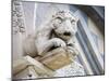 Gargoyle of Duomo Pisa, Pisa, Italy-Dennis Flaherty-Mounted Photographic Print