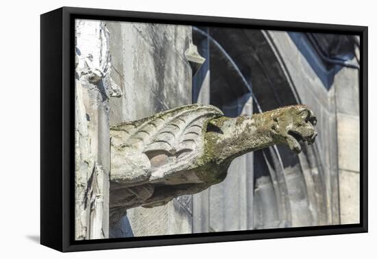 Gargoyle, Rouen, Normandy, France-Jim Engelbrecht-Framed Premier Image Canvas