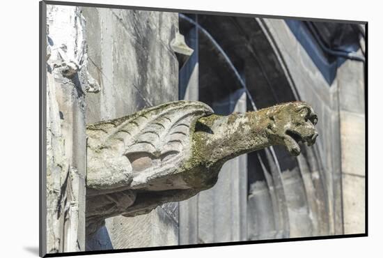 Gargoyle, Rouen, Normandy, France-Jim Engelbrecht-Mounted Photographic Print