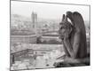 Premium Photographic Print
