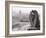 Gargoyle Statue at a Cathedral, Notre Dame, Paris, Ile-De-France, France-null-Framed Photographic Print