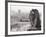 Gargoyle Statue at a Cathedral, Notre Dame, Paris, Ile-De-France, France-null-Framed Photographic Print