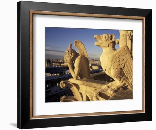 Gargoyles of the Notre Dame Cathedral, Paris, France-David Barnes-Framed Photographic Print