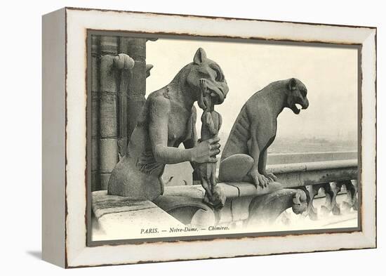 Gargoyles on Notre Dame-null-Framed Stretched Canvas