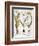 Garlic, 1613-Besler Basilius-Framed Giclee Print