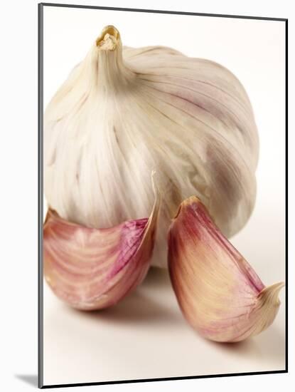 Garlic and Garlic Cloves-Joff Lee Studios-Mounted Photographic Print